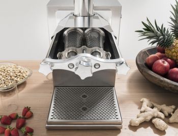 Preview: Friulco ARGOS Profi Juicer - Multi Entsafter - Slowjuicer - Edelstahl